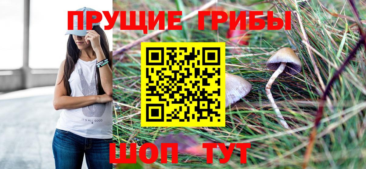 Салават  Галлюциногенные грибы Cubensis  Вход с VPN 